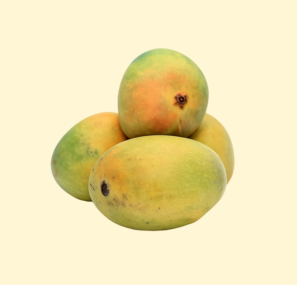 Alphonso Mango