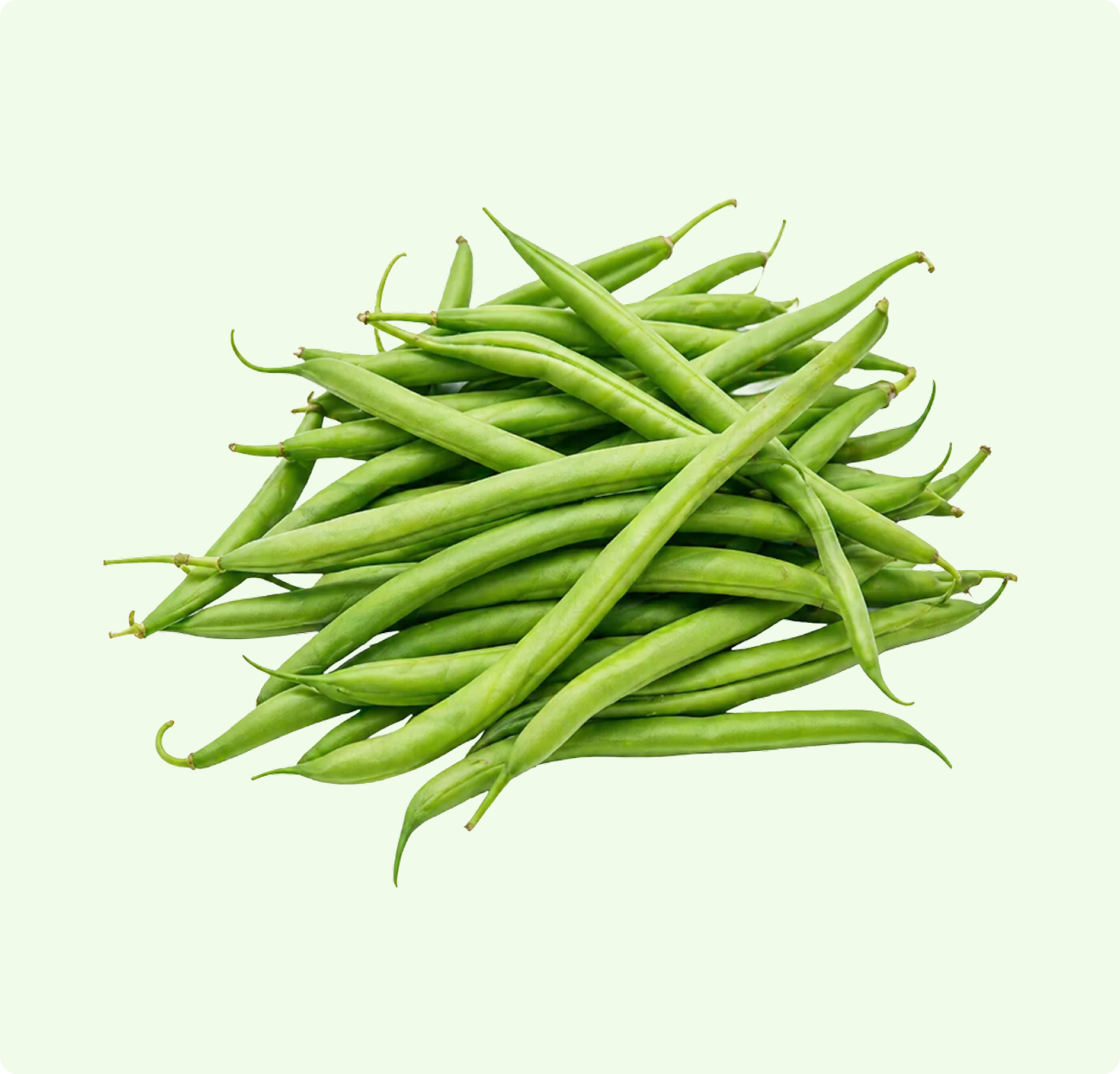 French Beans