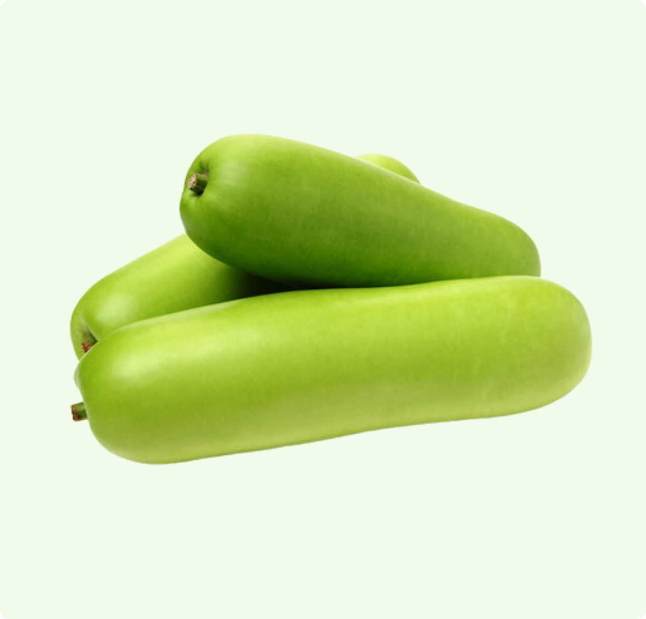 Bottle Gourd
