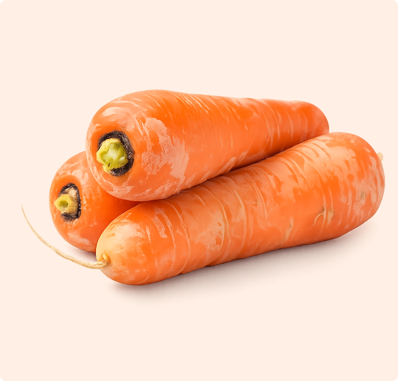 Carrot