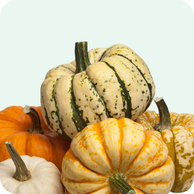Gourds & Local Vegetables