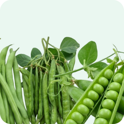 Beans & Peas