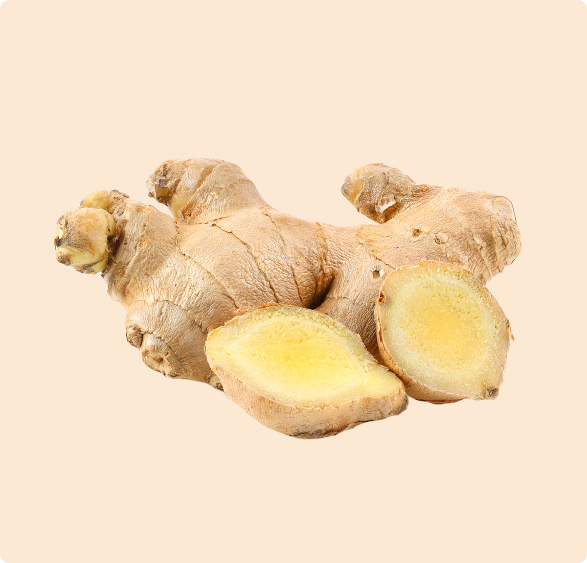 Ginger