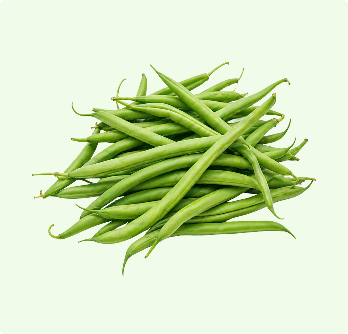 French Beans