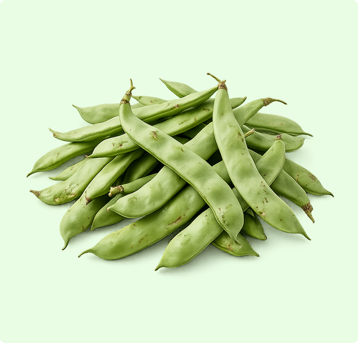 Flat Beans