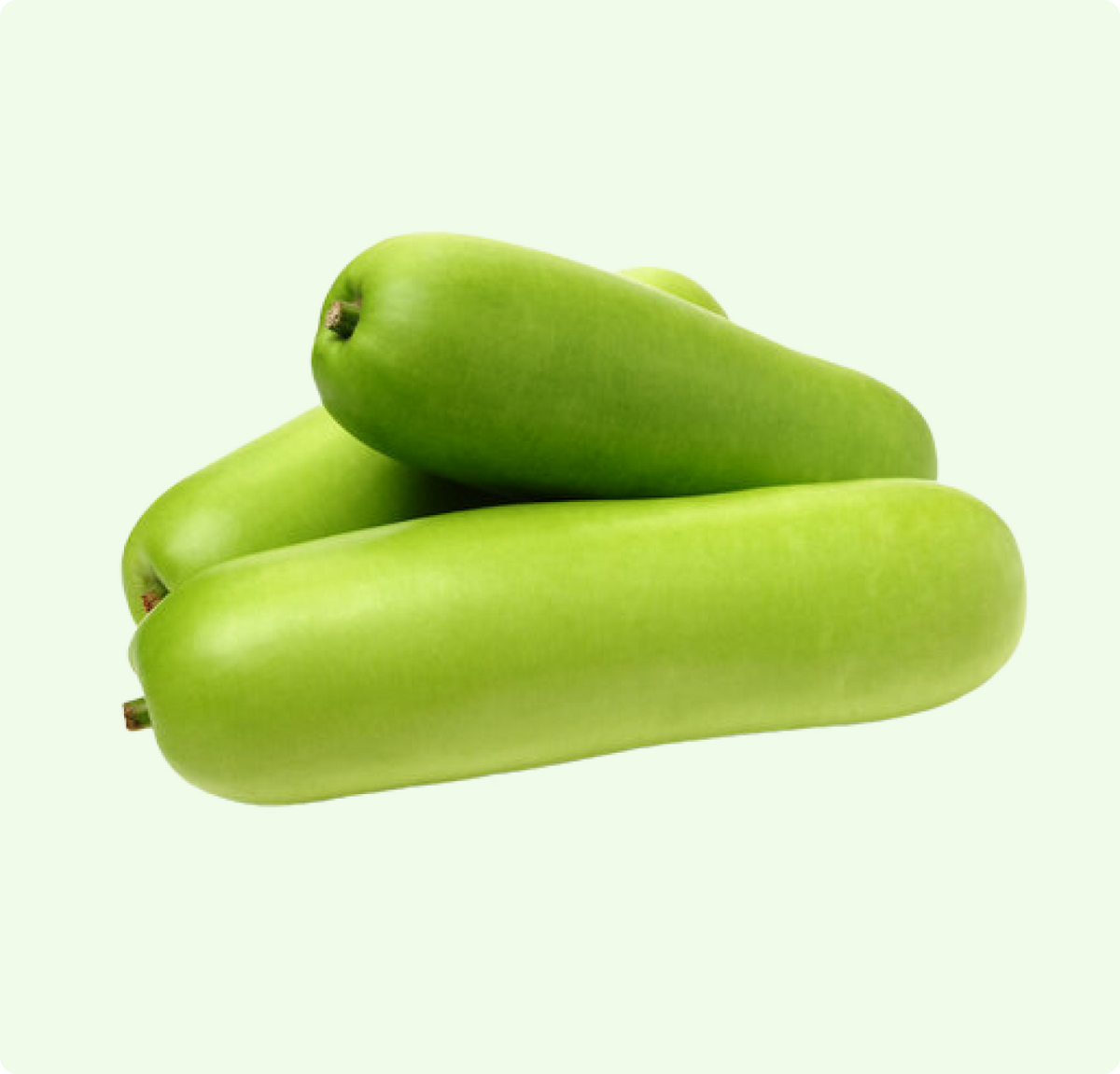 Bottle Gourd