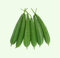 Ridge Gourd