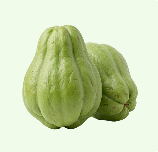 Chow Chow
