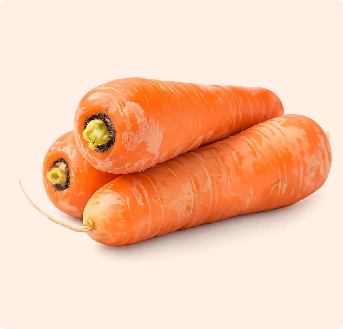 Carrot