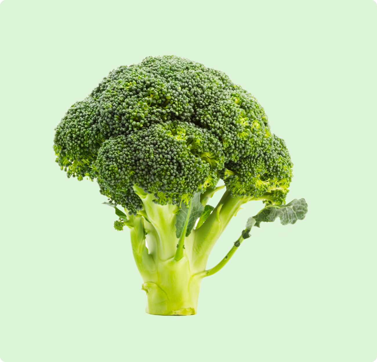 Broccoli