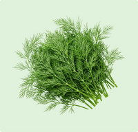 Sabbaki