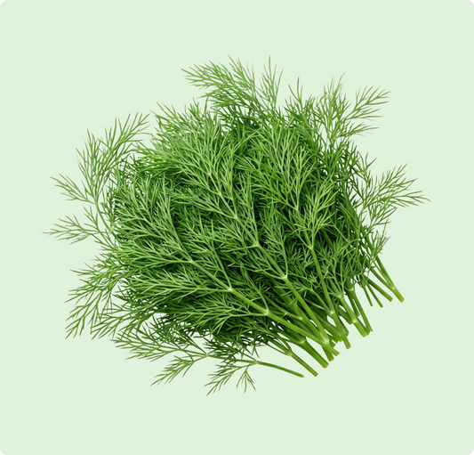 Sabbaki
