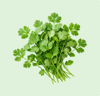 Coriander Leaves