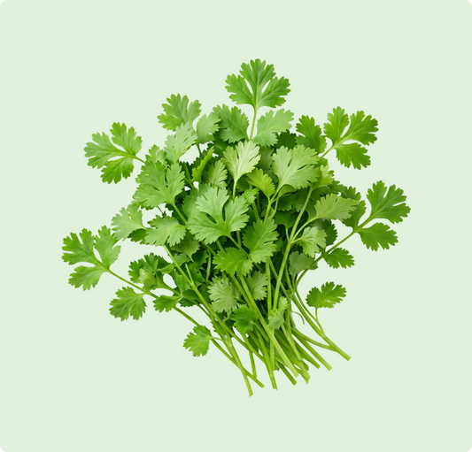 Coriander Leaves