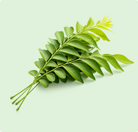 Curry Leaves