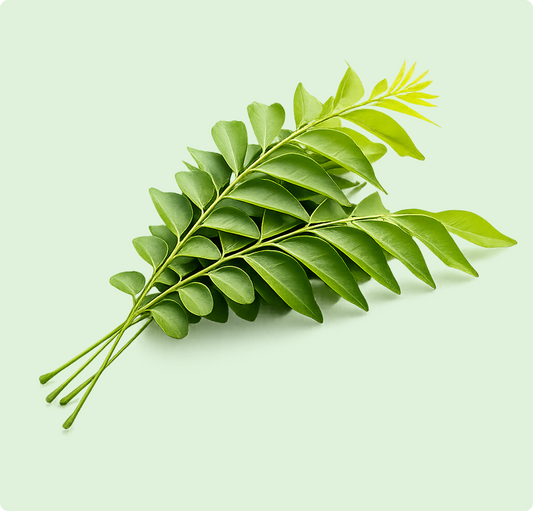 Curry Leaves