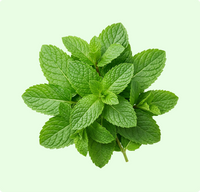 Podhina