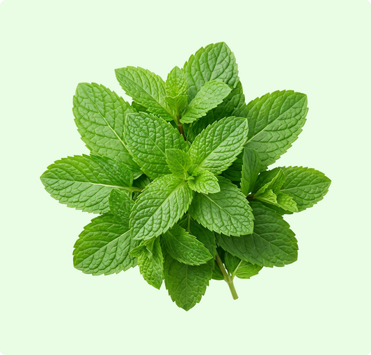 Podhina