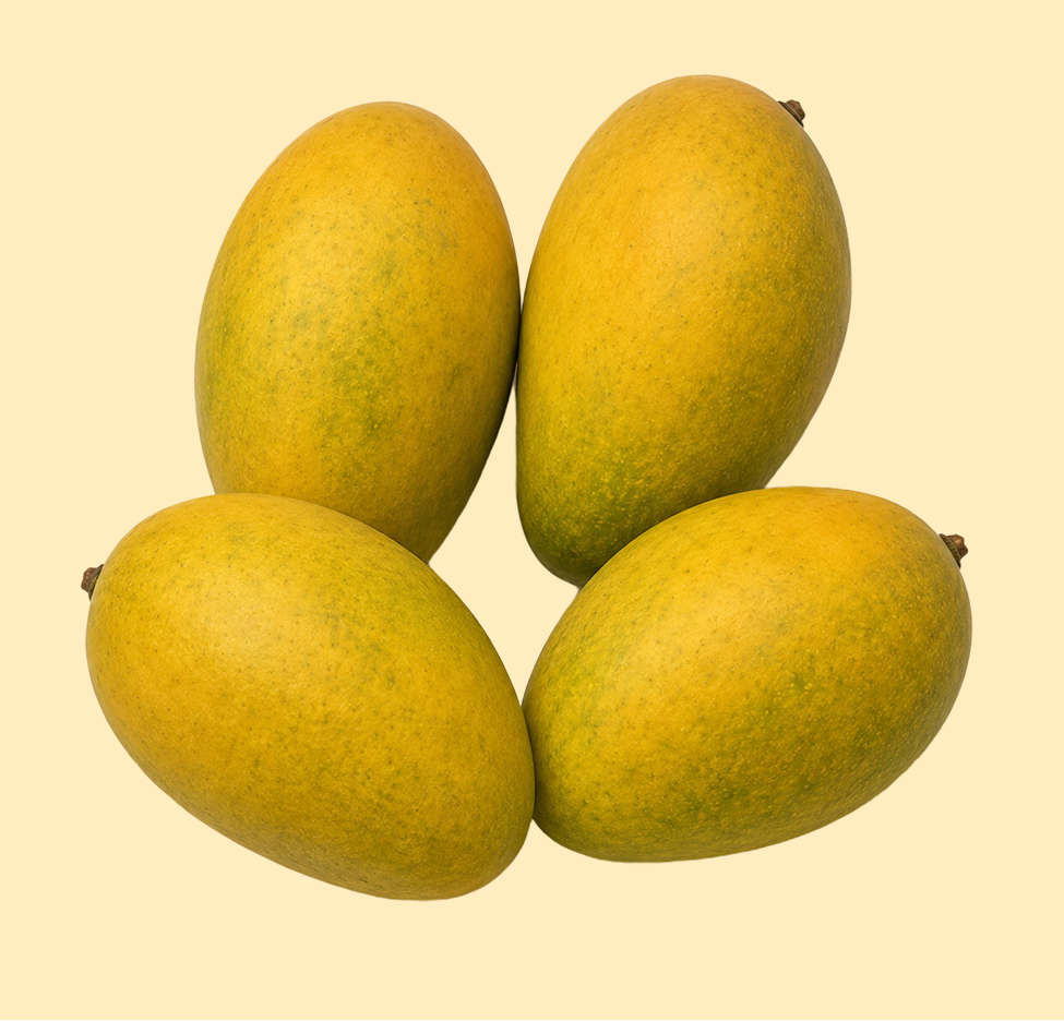 Himam Pasand Mango