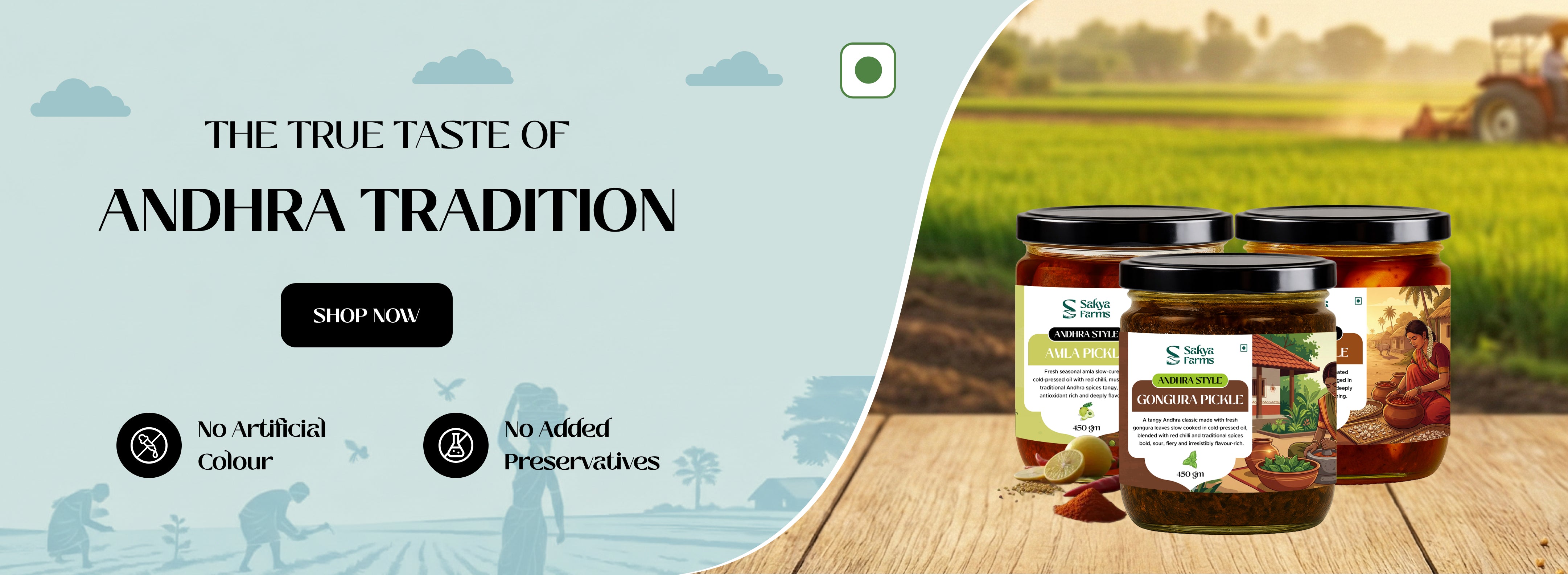 Pickle_82b8d878-e083-4c16-9c7e-42ec9b3a013c